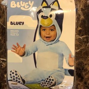 Bluey costume